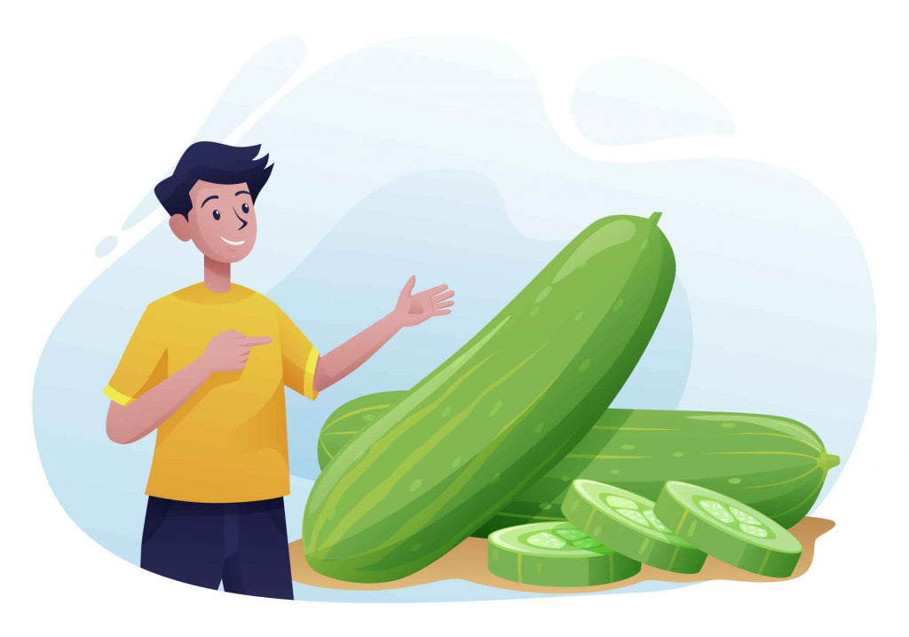 Cucumber Illustration (AI, EPS, PNG)
